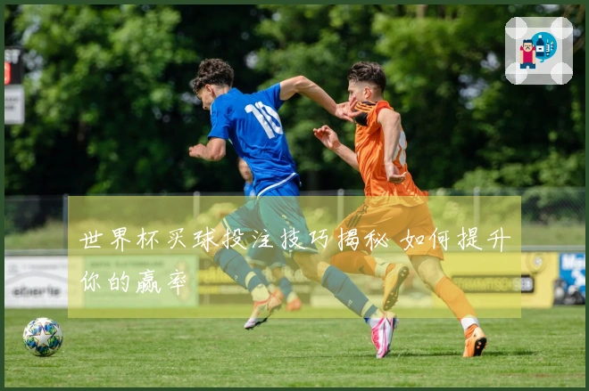 世界杯买球投注技巧揭秘 如何提升你的赢率