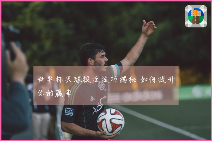 世界杯买球投注技巧揭秘 如何提升你的赢率