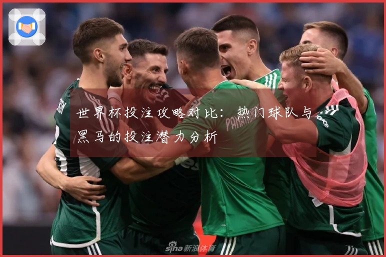 世界杯投注攻略对比：热门球队与黑马的投注潜力分析