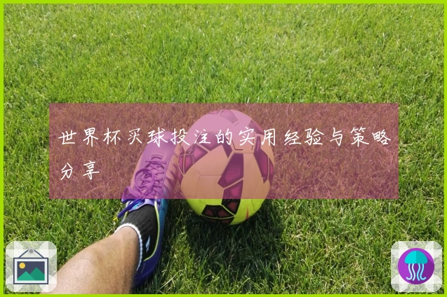 世界杯买球投注的实用经验与策略分享