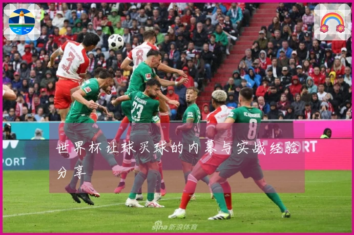 世界杯让球买球的内幕与实战经验分享