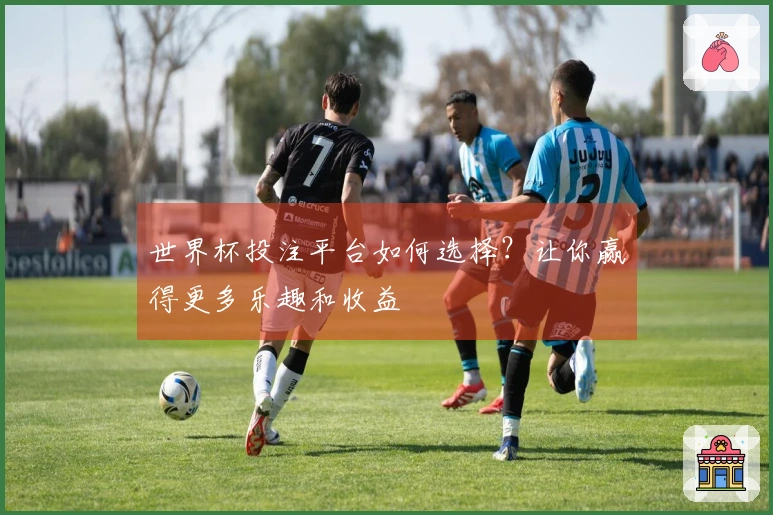 世界杯投注平台如何选择？让你赢得更多乐趣和收益