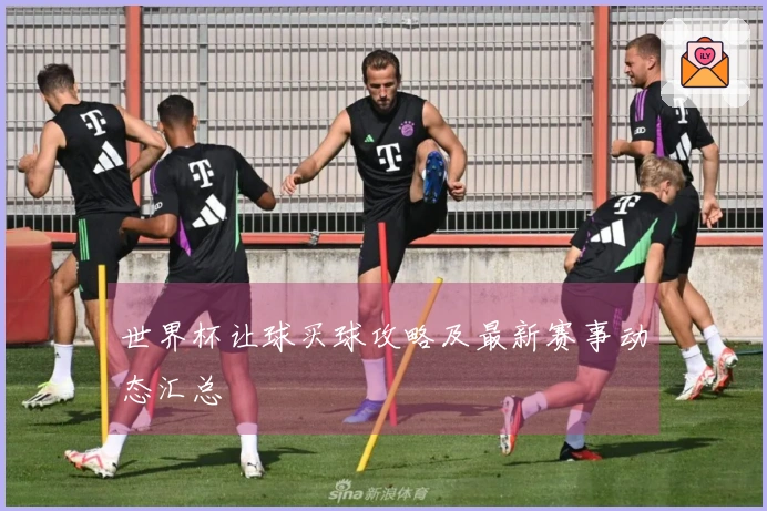 世界杯让球买球攻略及最新赛事动态汇总