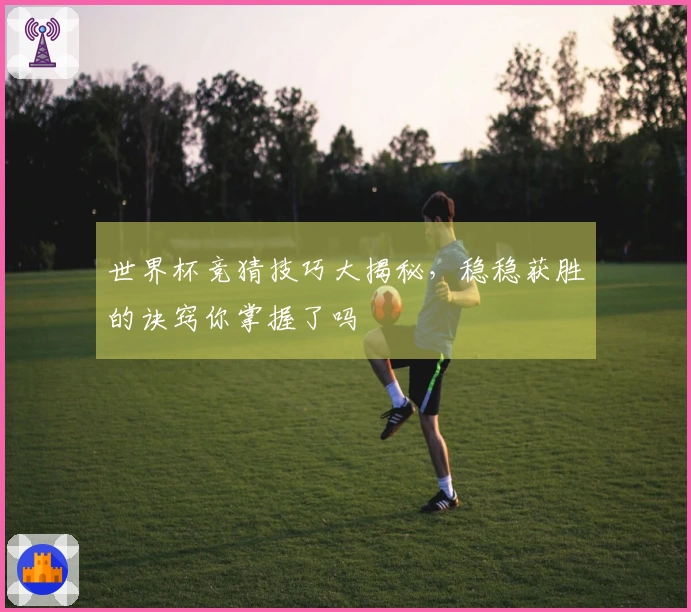 世界杯竞猜技巧大揭秘，稳稳获胜的诀窍你掌握了吗