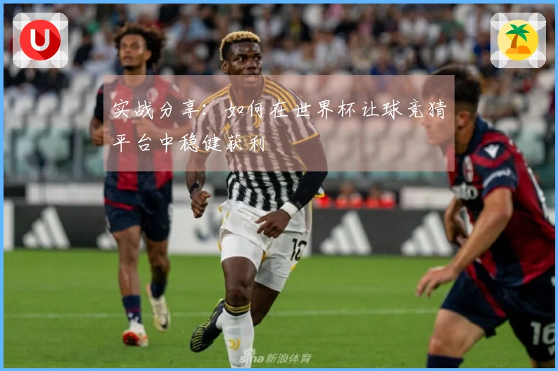 实战分享：如何在世界杯让球竞猜平台中稳健获利
