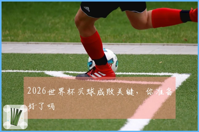 2026世界杯买球成败关键，你准备好了吗